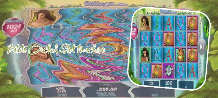 Free white orchid slot no download